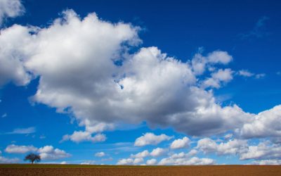 Komplette organisatorische Transformation der M & A – Releasing-Arbeit – vollzogen, gelungen und gefragter Segen in der Not!