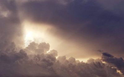 Ein paar Fakten zu Releasing & Corona