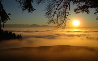 Impulse zur Startphase der Corona-Krise in Deutschland